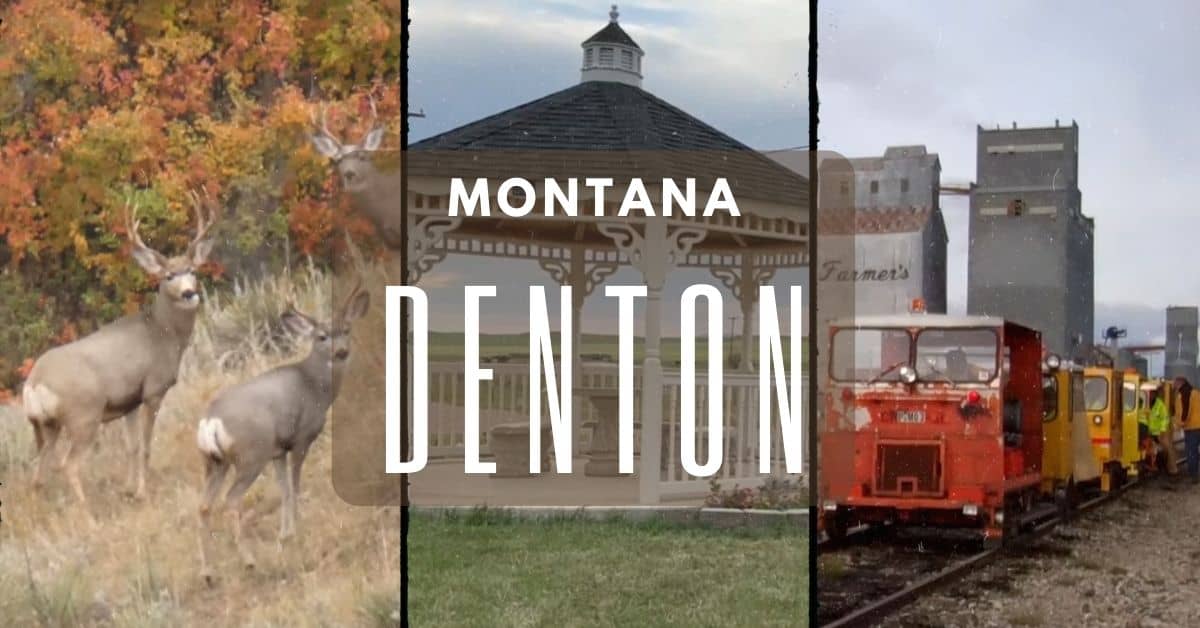 Denton Montana